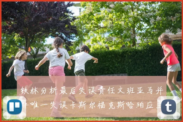 铁林分析最后失误责任文班亚马并非唯一失误卡斯尔福克斯哈珀应主动接球