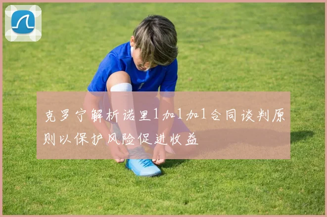 克罗宁解析诺里1加1加1合同谈判原则以保护风险促进收益