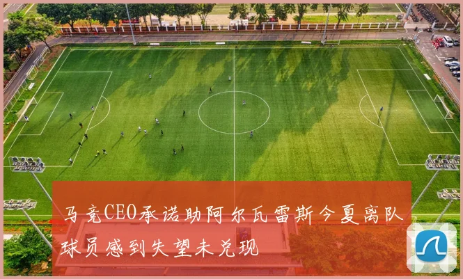 马竞CEO承诺助阿尔瓦雷斯今夏离队球员感到失望未兑现